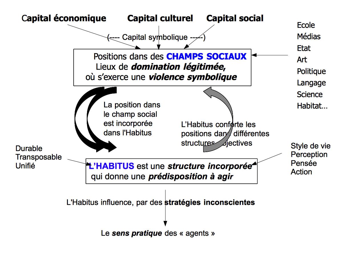 Bourdieu domination masculine pierre